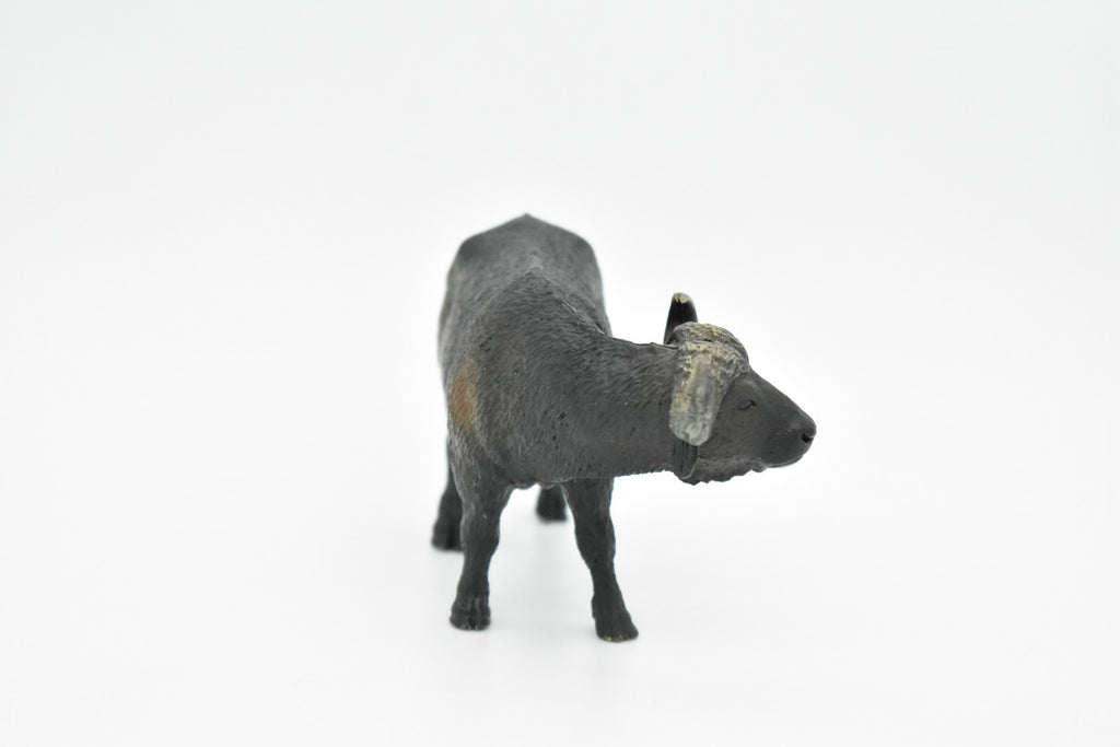 Cape Buffalo, African Bovine, Syncerus caffer, Museum Quality, Hand Painted, Rubber Animal, Realistic Toy Figure, Model, Kids, Educational,  5 Inches.