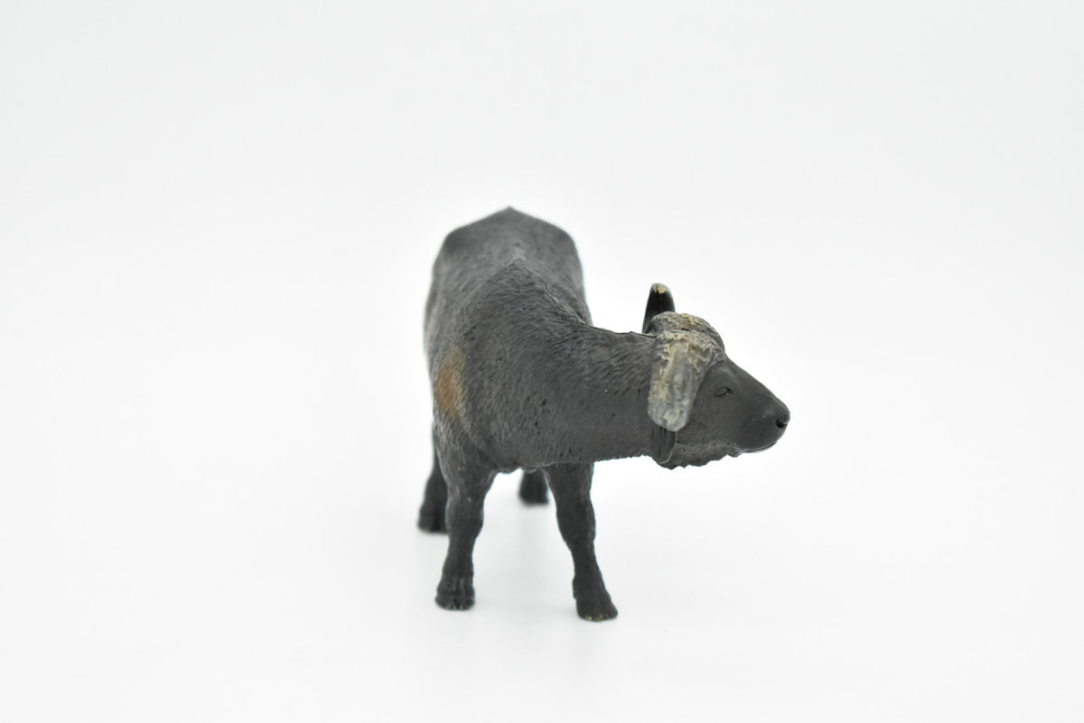 Cape Buffalo, African Bovine, Syncerus caffer, Museum Quality, Hand Painted, Rubber Animal, Realistic Toy Figure, Model, Kids, Educational,  5 Inches.