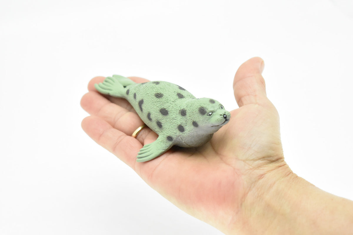 Seal, Spotted Seal, Very Nice Plastic Replica   5 1/2-inch  -  F468 B6