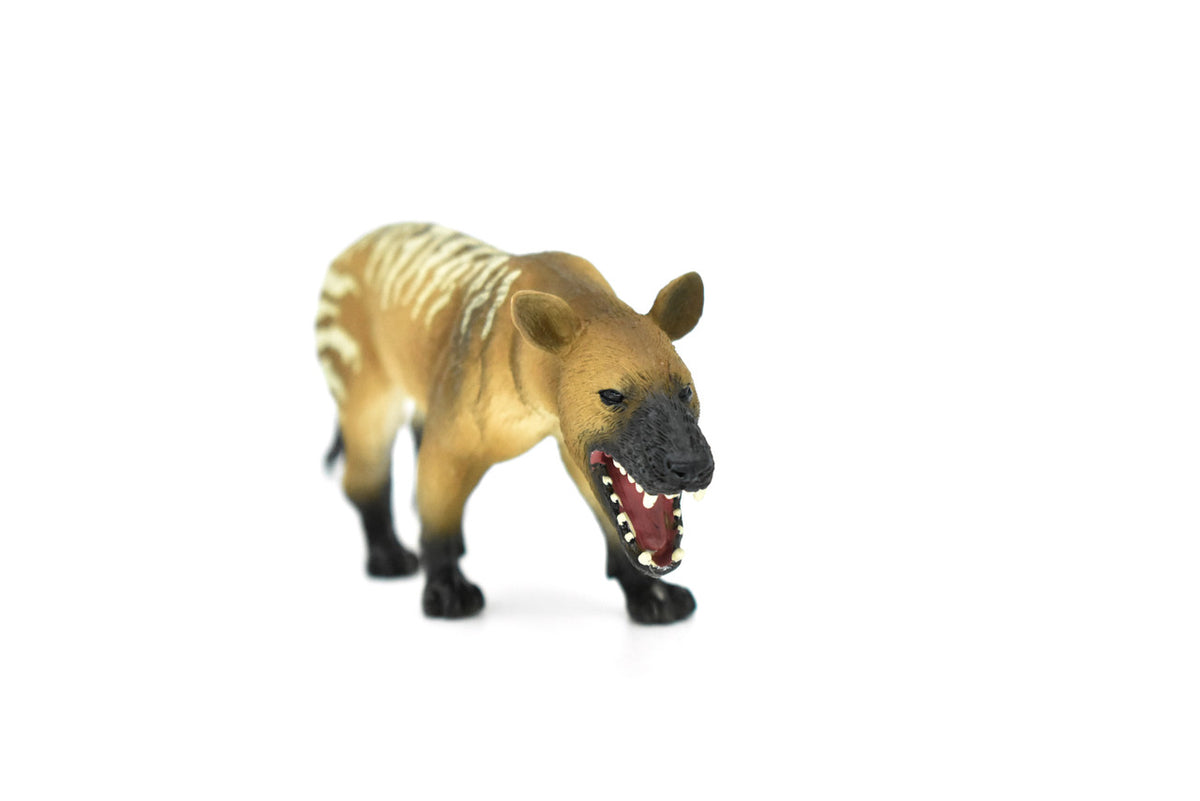 Hyaenodon Dinosaur, Prehistoric Wolf, Realistic Toy Model Plastic Replica, Kids Educational Gift     6"     M013 B631