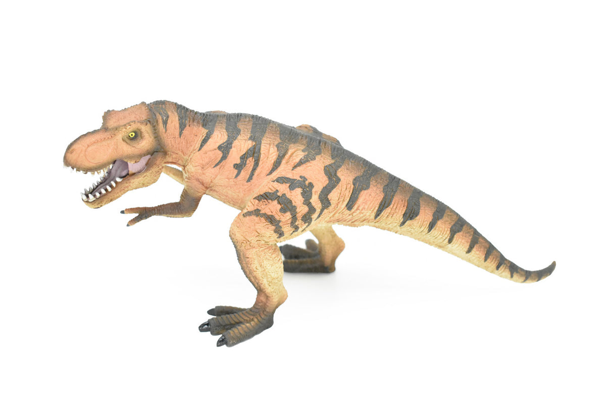 Tyrannosaurus rex, T. Rex, Dinosaur, Museum Quality Plastic Replica  12" x 5"   M005-B629
