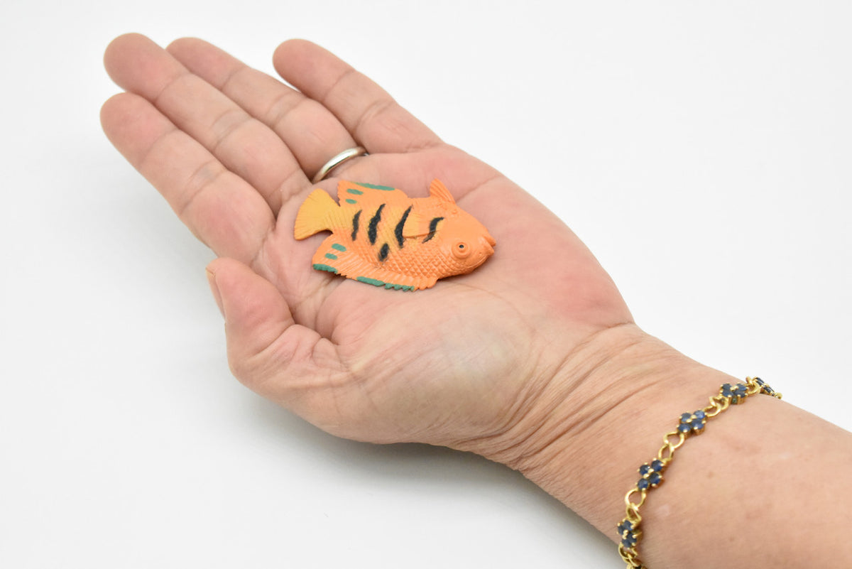 Angelfish, Flame, Tropical Fish, Pterophyllum, Ciclids, Hand Painted, Plastic Fish Design, Saltwater, Educational, Lifelike, Diorama Model, Toy, 2 Inches.