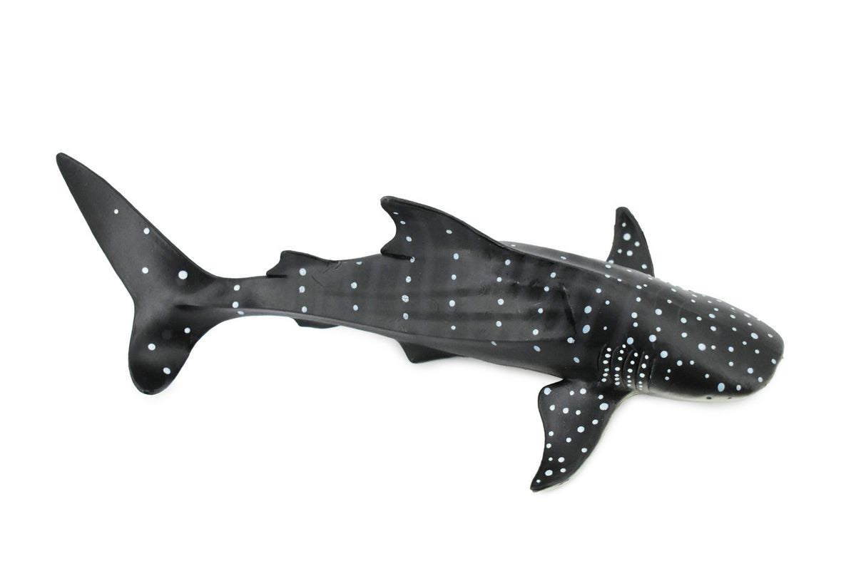 Whale Shark, Gentle Giant, Museum Quality, Educational, Hand Painted, Rubber Fish, Realistic Toy Figure, Diorama Model, Replica, Kids, Gift,    12 Inches. 