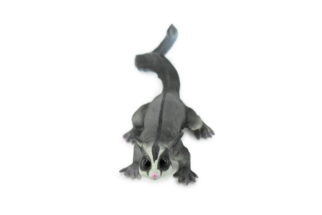 Sugar Glider, Flying Squirrel, Gliding Possum, Museum Quality, Hand Painted, Rubber, Realistic, Diorama Model, Replica, Kids, Educational,  7 Inches.