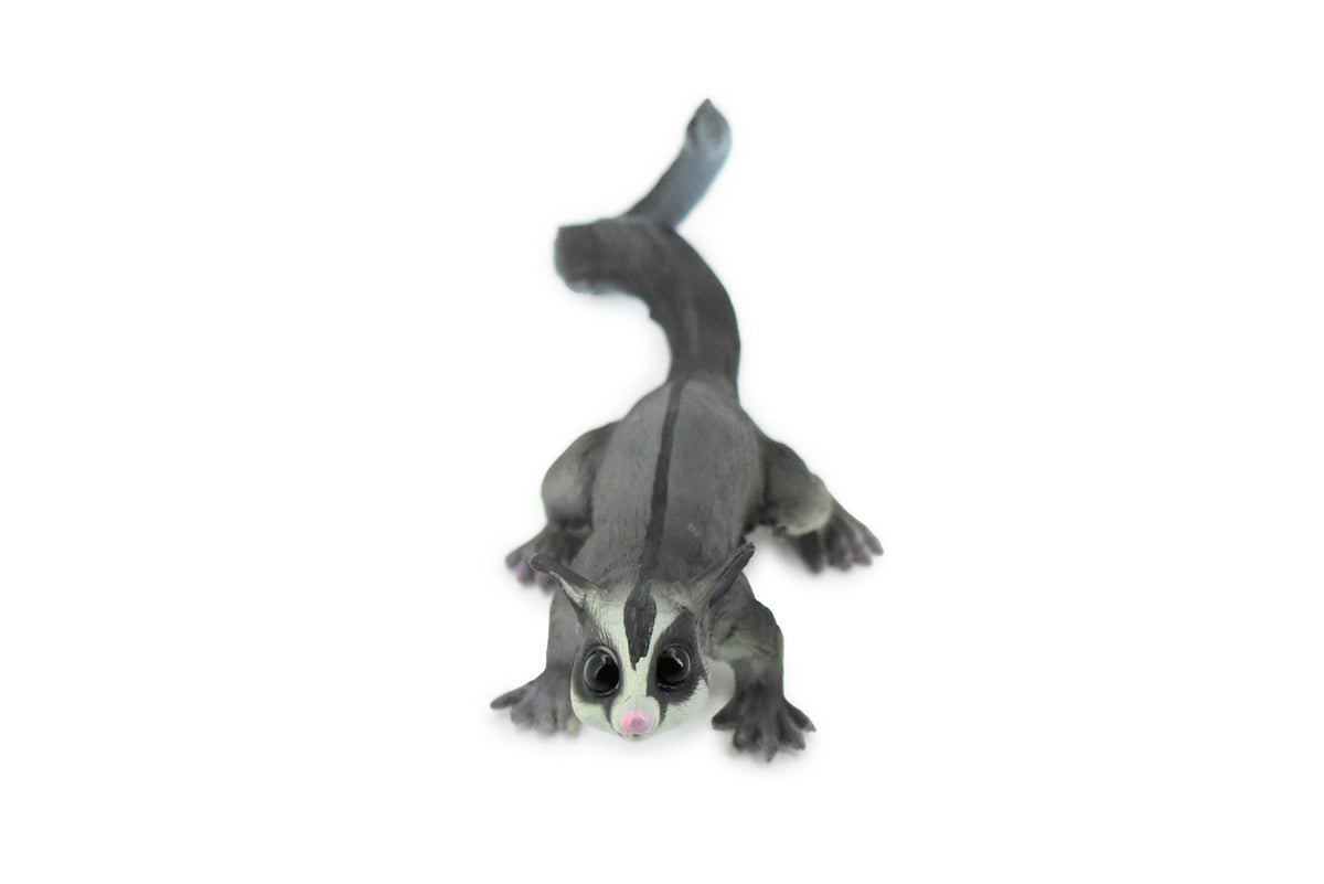 Sugar Glider, Flying Squirrel, Gliding Possum, Museum Quality, Hand Painted, Rubber, Realistic, Diorama Model, Replica, Kids, Educational,  7 Inches.