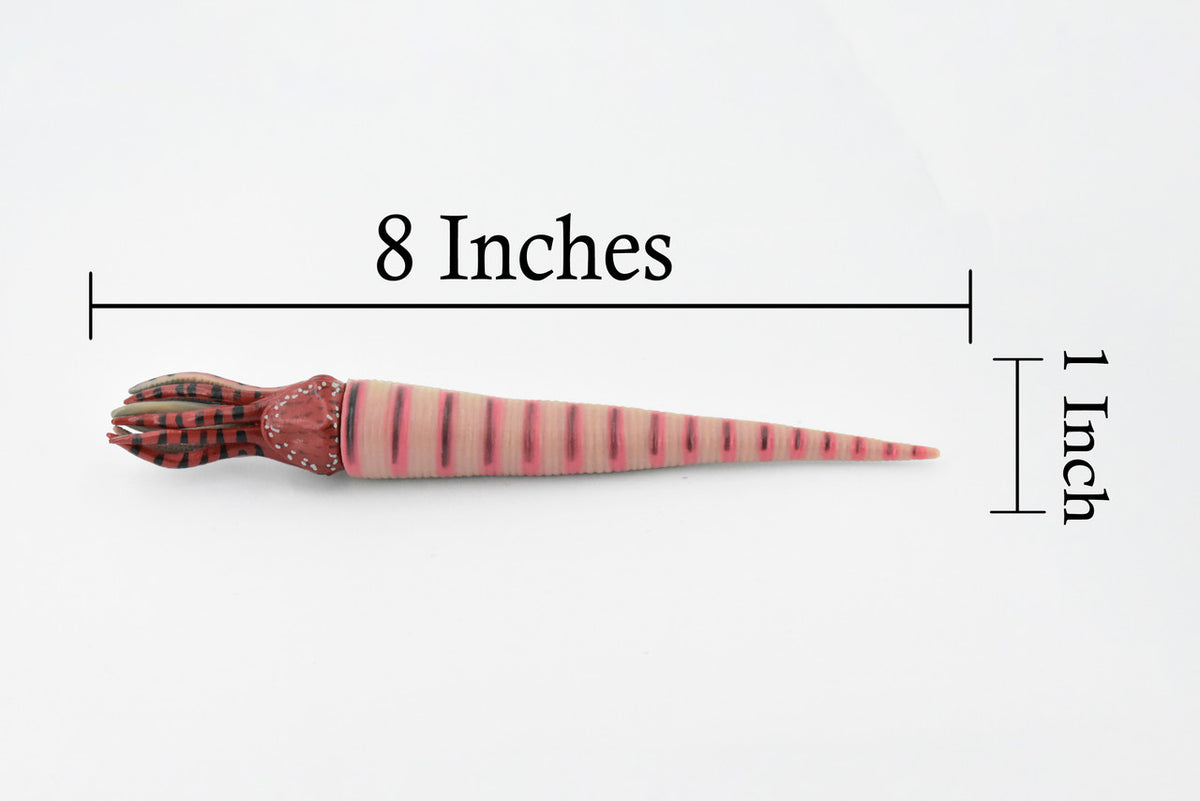 Orthoceras, Extinct Nautiloid Cephalopod, Museum Quality, Rubber Fish, Hand Painted, Realistic Toy Figure, Diorama Model, Kids, Educational, 8 Inches. 