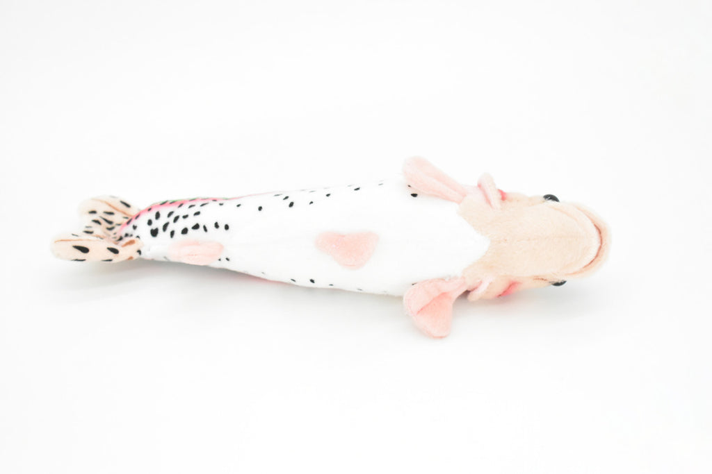 Rainbow Trout Plush Toy, Realistic Stuffed Animal, Soft Plush Fish, Stuffed Fish, Educational, Toy, Kids, Gift,      10"       F2401 BB61