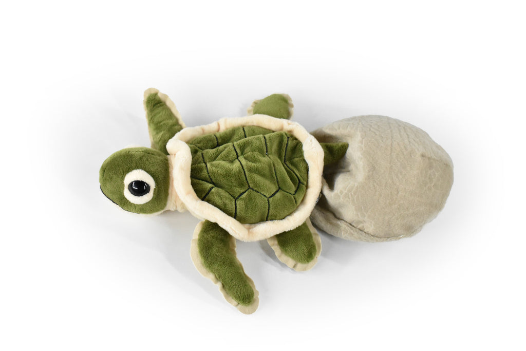 Sea Turtle Hatching From Egg, Very Nice Plush Animal  8"  PZ033-B463