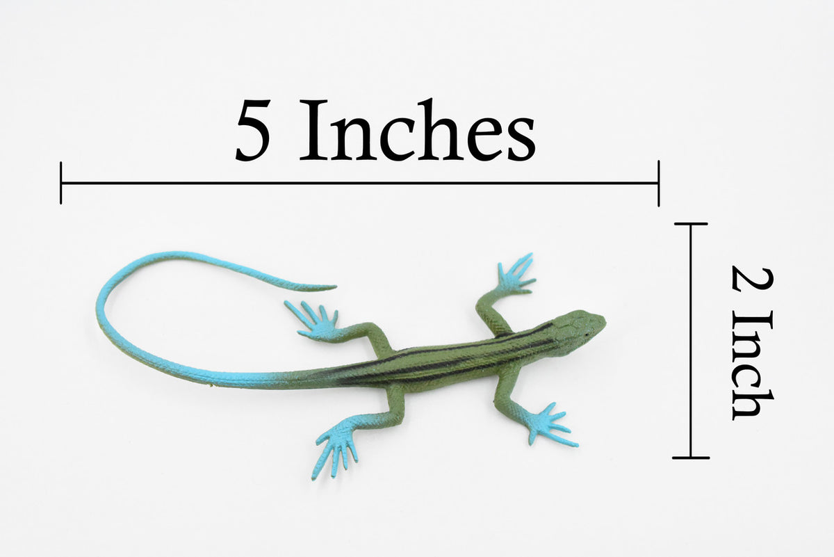 Lizard,  Desert-Grassland Whiptail, Rubber, Reptile Toy, Realistic Figure, Model, Replica, Kids, Educational, Gift,       5"       F6111 B381