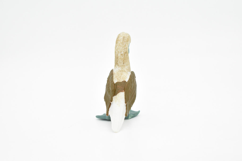 Blue Footed Booby, Gannet Sea Bird, Museum Quality, Rubber Bird, Hand Painted, Realistic Toy Figure, Diorama Model, Kids, Educational, 3 Inches.