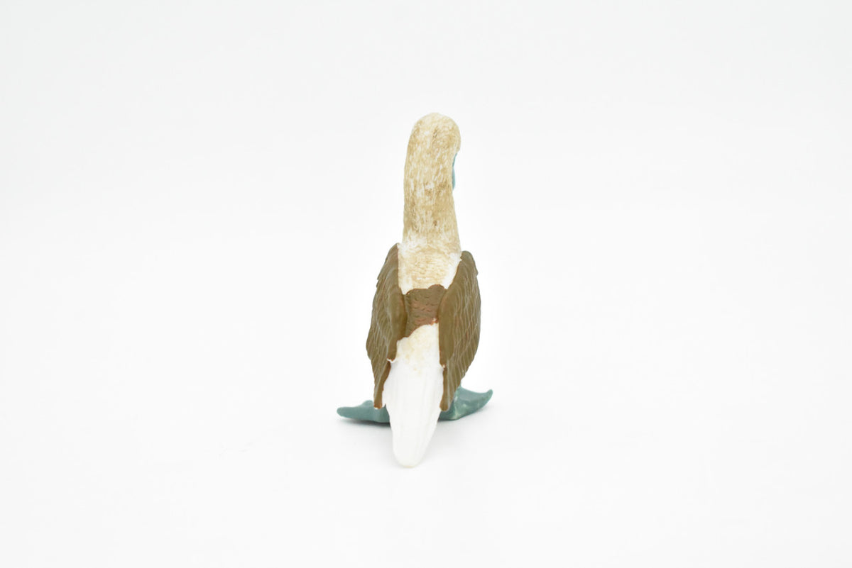 Blue Footed Booby, Gannet Sea Bird, Museum Quality, Rubber Bird, Hand Painted, Realistic Toy Figure, Diorama Model, Kids, Educational, 3 Inches.
