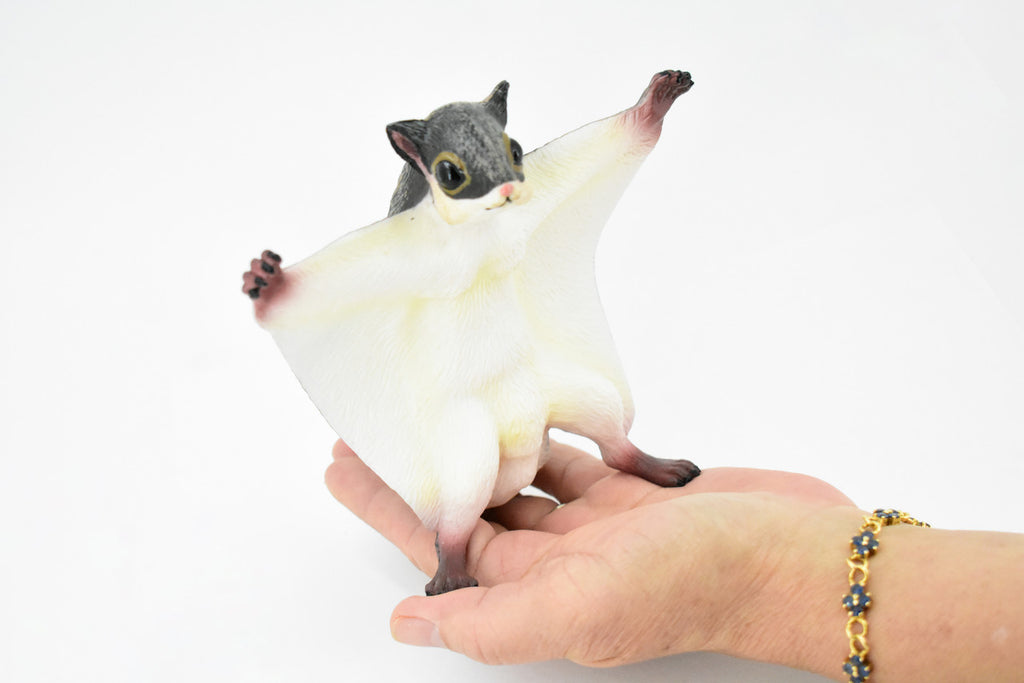  Flying Squirrel, Sciuridae, Museum Quality, Hand Painted, Rubber Mammal, Realistic Toy Figure, Model, Replica, Kids, Educational,  6 1/2 Inches.