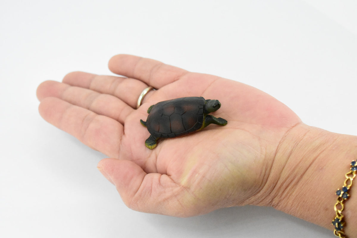 Turtle, Yellow Pond Turtle, Rubber Reptile, Hand Painted, Museum Quality, Educational, Realistic Toy Figure, Diorama Model, Kids,  2 1/2 Inches. 