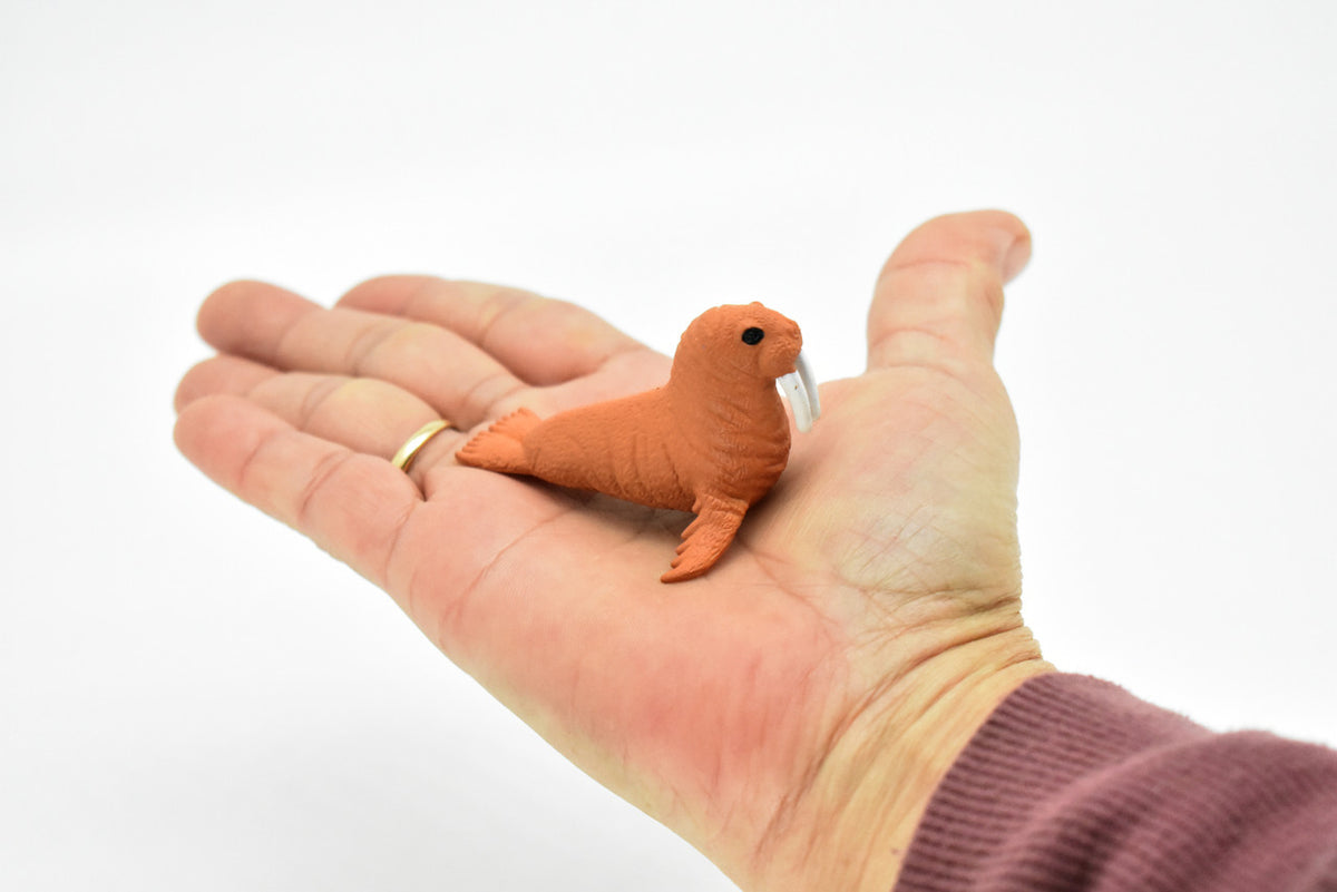 Walrus, Very Nice Plastic Replica    3"     F1114 B203