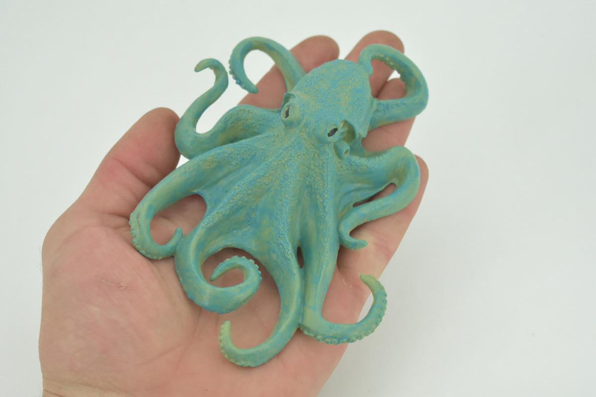 Octopus, Octopodes, Octopoda, Blue Octopi, Museum Quality, Hand Painted, Hard Rubber, Realistic Figure, Toy, Kids, Educational, Gift,      5"       CH284 BB178