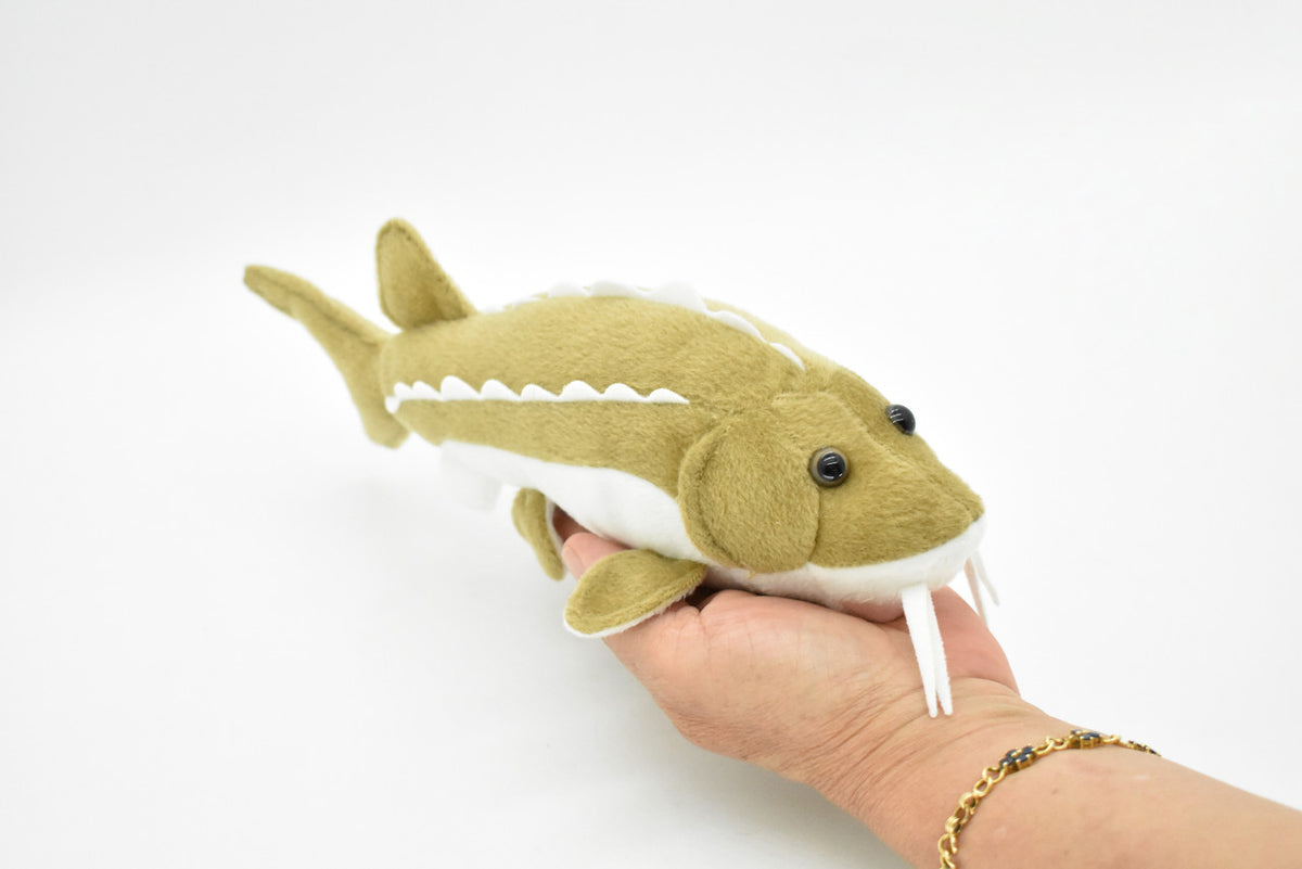 Sturgeon, Very Nice Plush Fish, Stuffed Animal, Educational, Toy, Kids, Realistic Figure, Gift,     10"