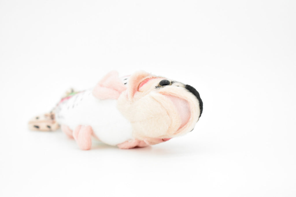Rainbow Trout Plush Toy, Realistic Stuffed Animal, Soft Plush Fish, Stuffed Fish, Educational, Toy, Kids, Gift,      10"       F2401 BB61