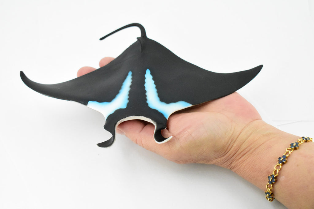 Manta Ray, Devil Fish, Museum Quality, Educational, Rubber Fish, Hand Painted, Realistic Toy Figure, Diorama Model, Kids,  9 Inches. 