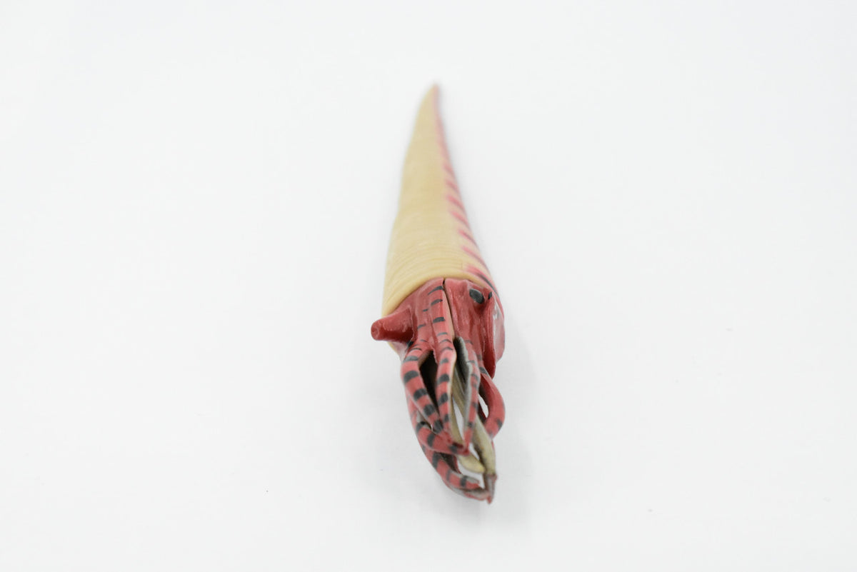 Orthoceras, Extinct Nautiloid Cephalopod, Museum Quality, Rubber Fish, Hand Painted, Realistic Toy Figure, Diorama Model, Kids, Educational, 8 Inches. 