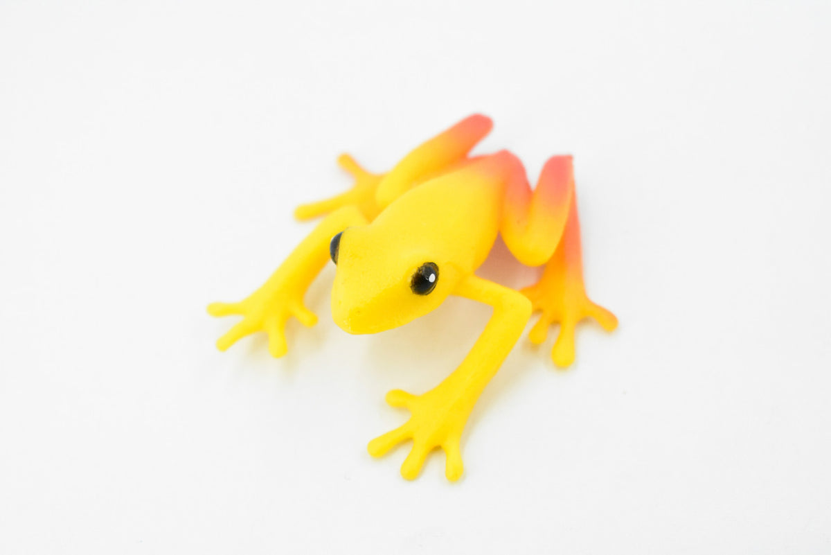 Golden Poison Dart Frog, Yellow and Red, Hand Painted, Amphibian, Hard Rubber, Realistic Frog, Toy, Kids, Educational, Gift,     2"