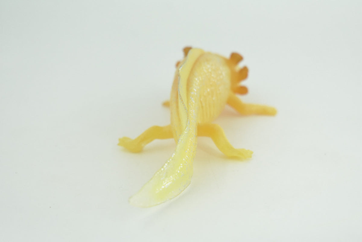 Axolotl, Gold Morph Color, Albino, Rubber Salamander, Museum Quality, Educational, Hand Painted, Realistic Amphibian, Diorama, Toy, Kids, Gift, 7 Inches Long.  CH1022 BB217