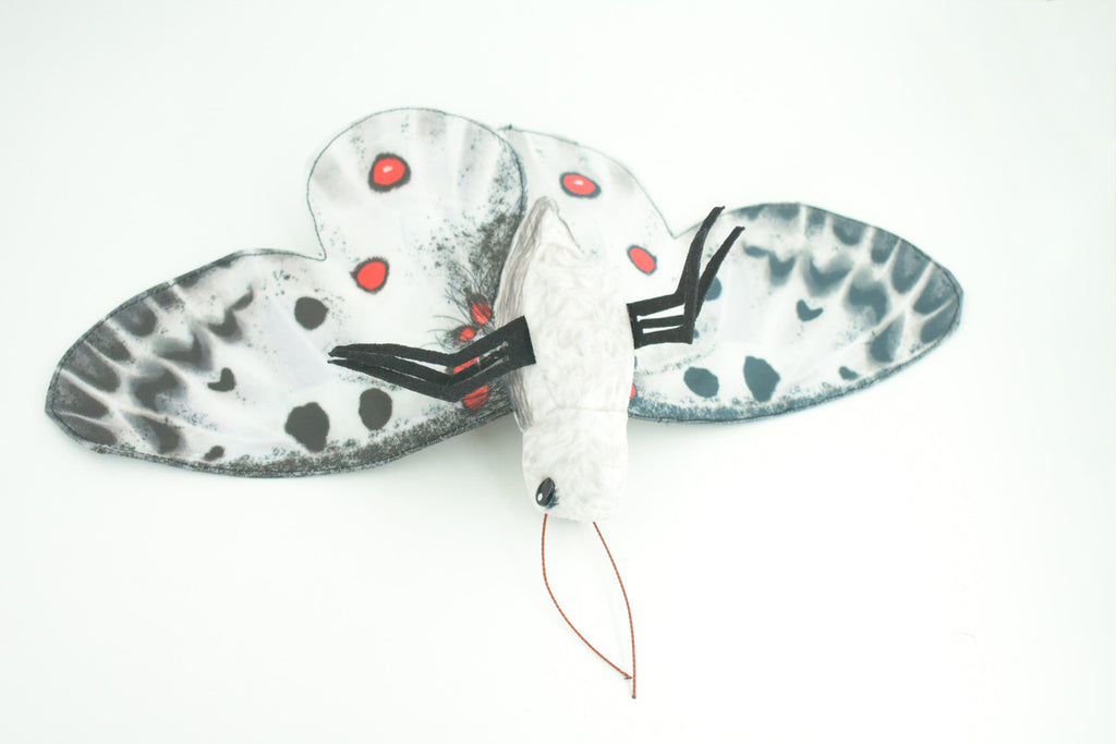 Apollo Butterfly, Finger Puppet, Very Nice Plush, Insect, Realistic, Educational, Toy, Kids, Gift,   15 Inches. WR36 BB317