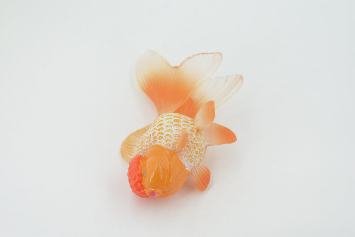 Fish, Oranda Goldfish, Redcap, Museum Quality, Hand Painted, Rubber, Realistic Figure, Model, Replica, Toy, Kids, Educational, Gift,      4"      CH561 BB162