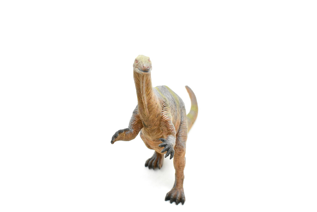 Plateosaurus, Dinosaur, Triassic period, Museum Quality, Realistic, Educational, Hand Painted, Lifelike Design, Diorama Model, Replica, Toy, Gift   15 Inches        CWG163 BB38