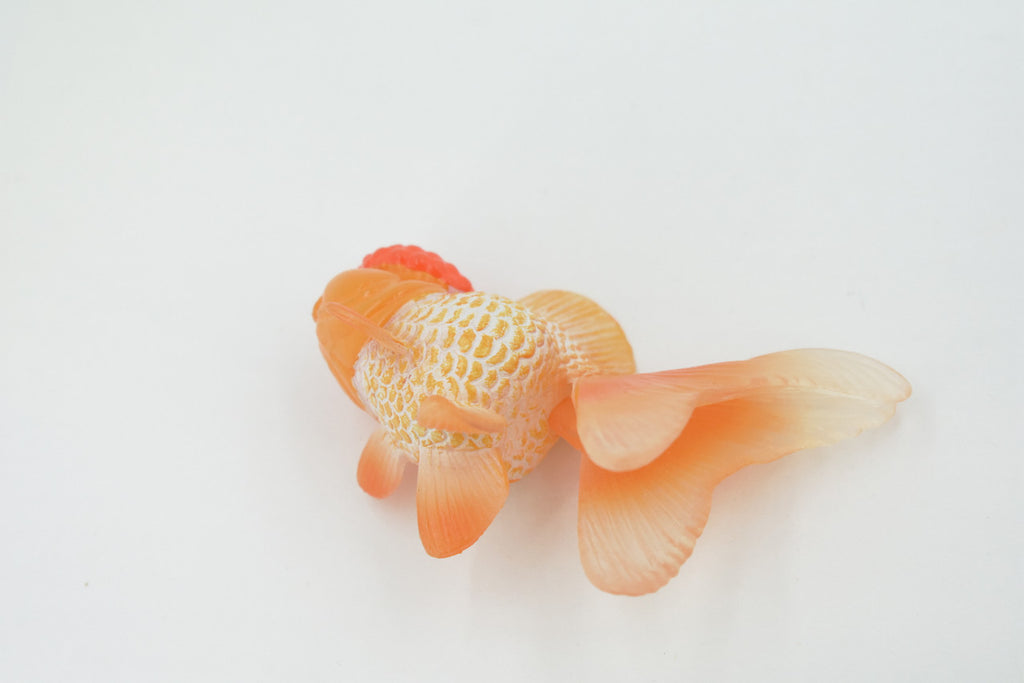 Fish, Oranda Goldfish, Redcap, Museum Quality, Hand Painted, Rubber, Realistic Figure, Model, Replica, Toy, Kids, Educational, Gift,      4"      CH561 BB162