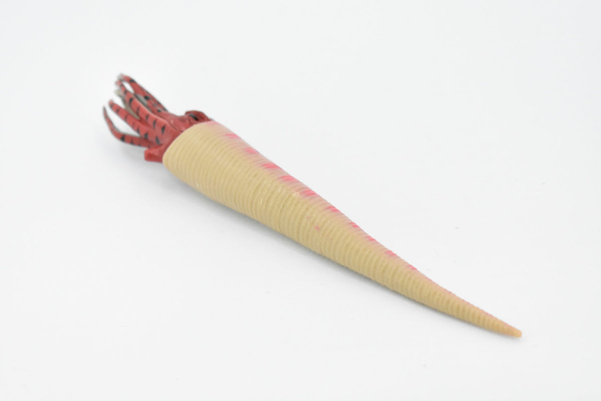 Orthoceras, Extinct Nautiloid Cephalopod, Museum Quality, Rubber Fish, Hand Painted, Realistic Toy Figure, Diorama Model, Kids, Educational, 8 Inches. 