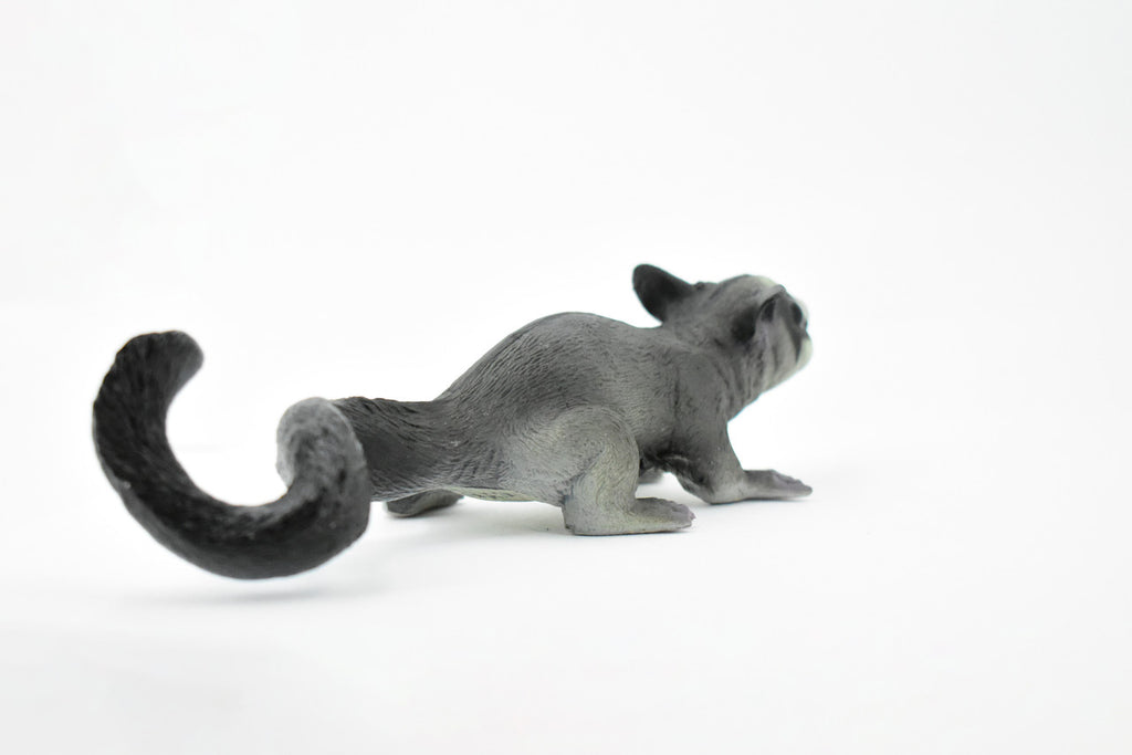 Sugar Glider, Flying Squirrel, Gliding Possum, Museum Quality, Hand Painted, Rubber, Realistic, Diorama Model, Replica, Kids, Educational,  7 Inches.