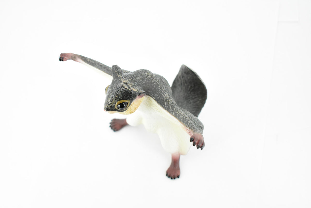  Flying Squirrel, Sciuridae, Museum Quality, Hand Painted, Rubber Mammal, Realistic Toy Figure, Model, Replica, Kids, Educational,  6 1/2 Inches.