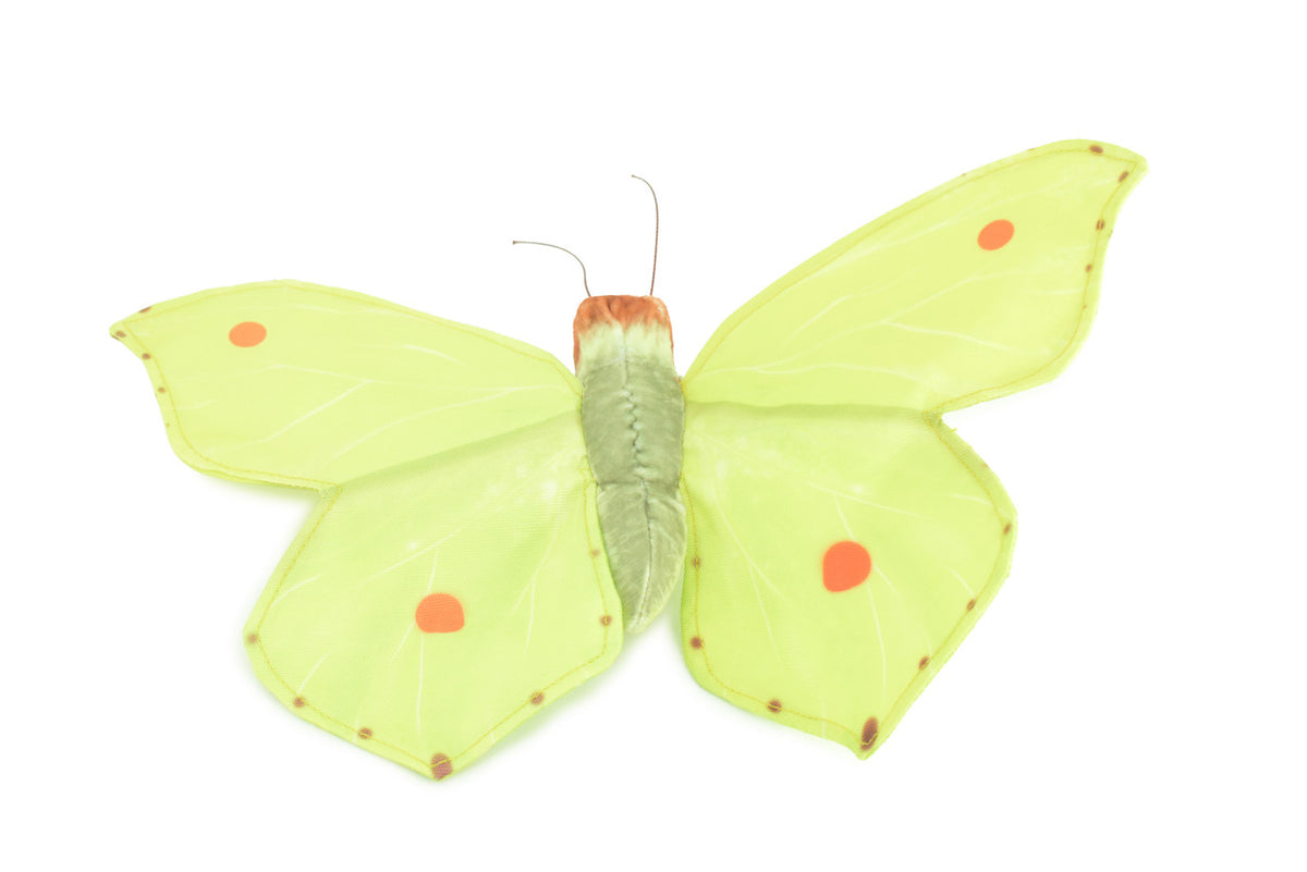 Common Brimstone Butterfly, Finger Puppet, Very Nice Plush, Insect, Realistic, Educational, Toy, Kids, Gift, 15 Inches. WR35 BB317