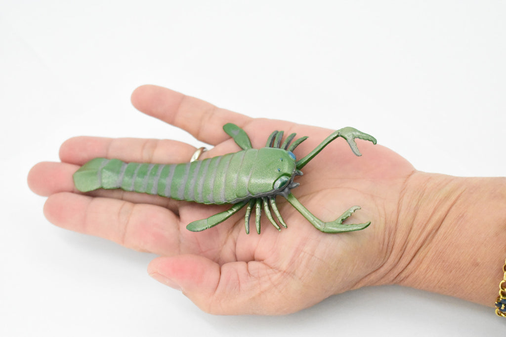 Eurypterida, Sea Scorpions, Extinct Arthropods, Museum Quality, Rubber, Hand Painted, Realistic Toy Figure, Diorama Model, Kids, Educational,  5 1/2 Inches.