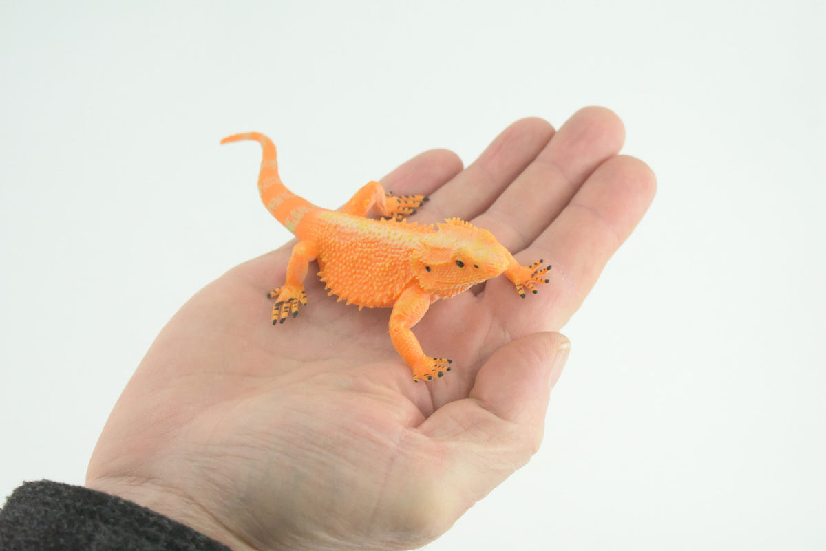 Horny Toad, Horned Lizard, Museum Quality, Educational, Hand Painted, Rubber Reptile, Diorama, Toy, Kids, Gift, 5 Inches. CH753 BB183