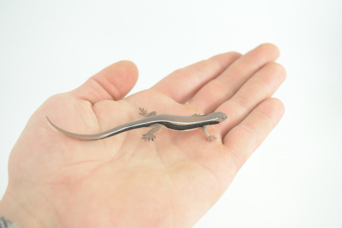 Lizard, Wall Skink, Hand Painted, Museum Quality, Educational, Rubber Reptile, Realistic, Diorama, Very Nice Design, Toys, Kids, Gift, 4 Inches. CH955 BB209
