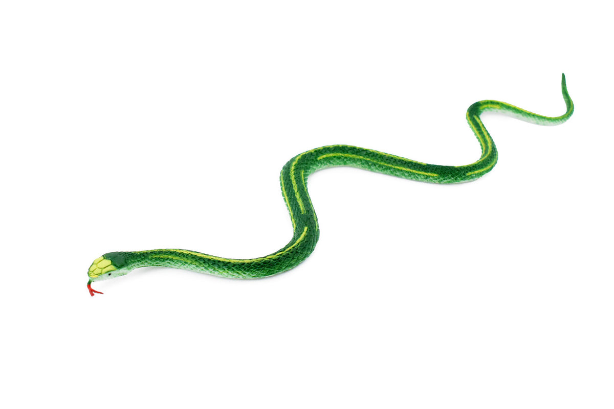 Snake, Garter snake, Green, Rubber Reptile, Educational, Realistic Hand Painted, Figure, Lifelike Model, Figurine, Replica, Gift,      10"       F2087B142