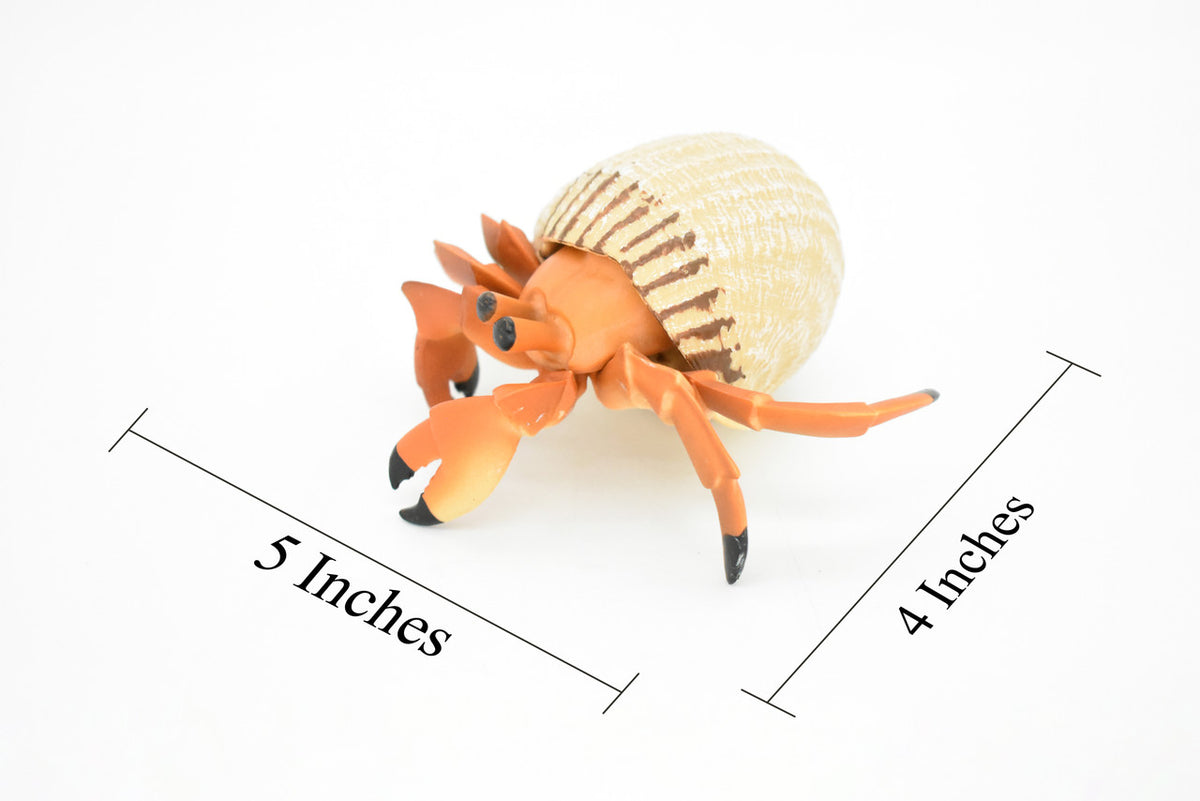 Hermit Crab Toy. Crustaceans, Museum Quality Rubber Figure, Model, Ocean, Beach, Sea, Educational, Animal, Hand Painted, Figurines 5" CH095 BB85