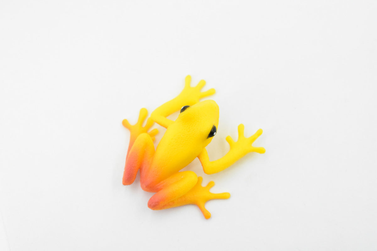 Golden Poison Dart Frog, Yellow and Red, Hand Painted, Amphibian, Hard Rubber, Realistic Frog, Toy, Kids, Educational, Gift,     2"     F4409 B9