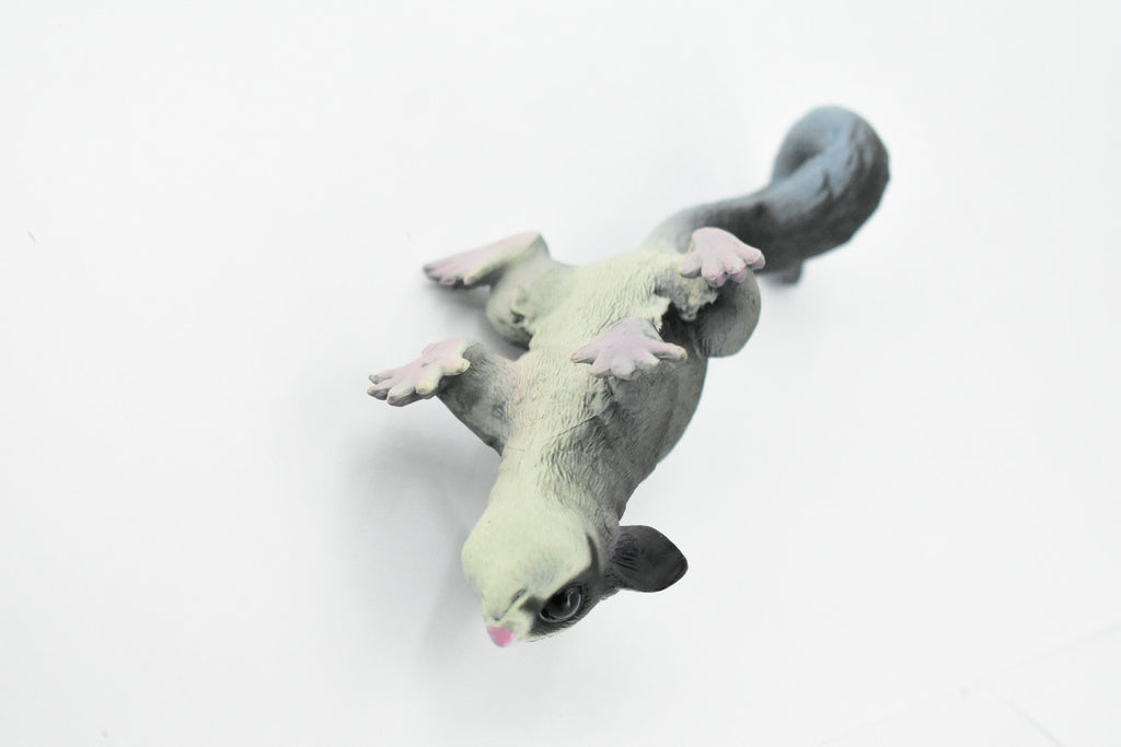 Sugar Glider, Flying Squirrel, Gliding Possum, Museum Quality, Hand Painted, Rubber, Realistic, Diorama Model, Replica, Kids, Educational, Gift,     7 Inches.    CH241 BB122