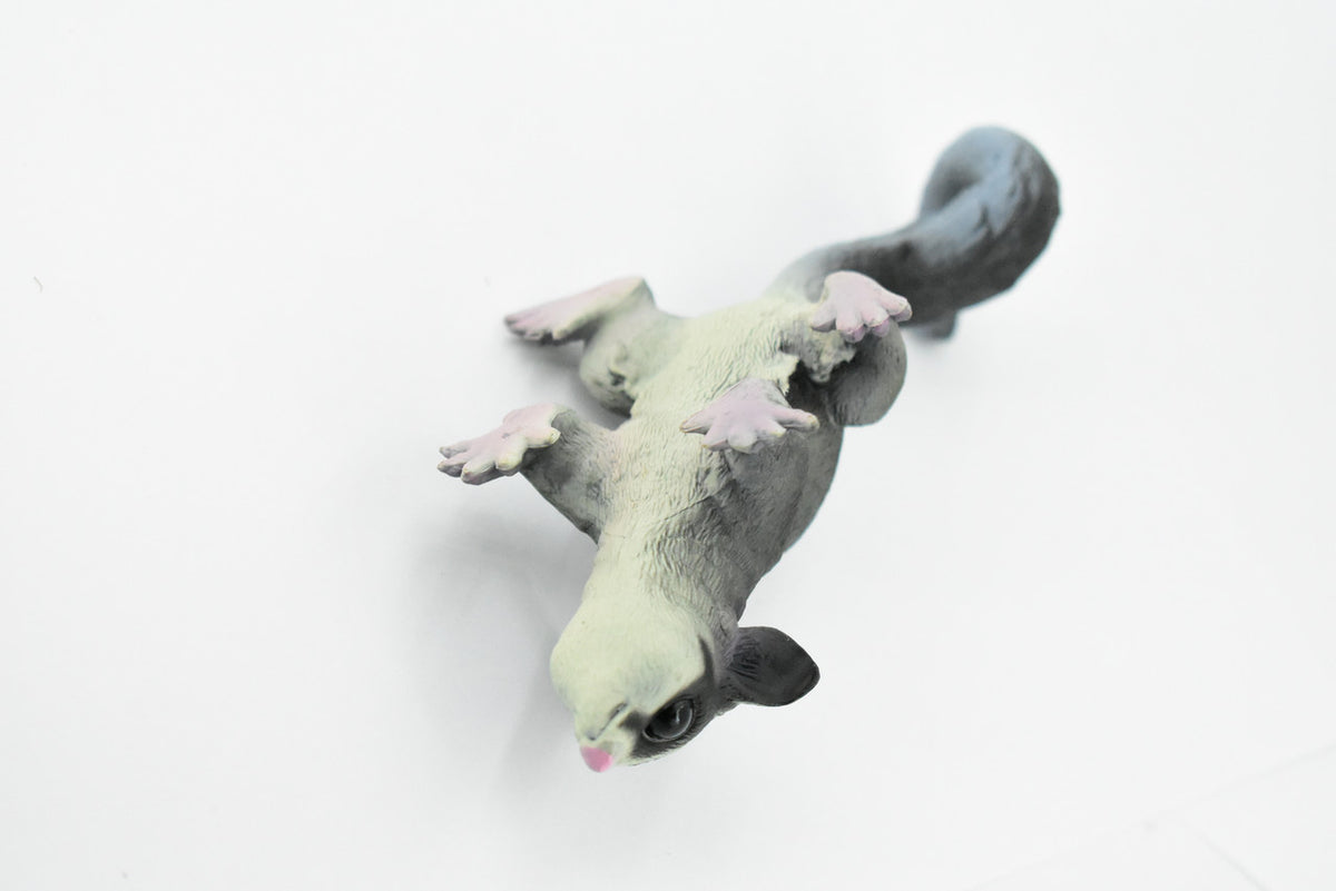 Sugar Glider, Flying Squirrel, Gliding Possum, Museum Quality, Hand Painted, Rubber, Realistic, Diorama Model, Replica, Kids, Educational, Gift,     7 Inches.    CH241 BB122