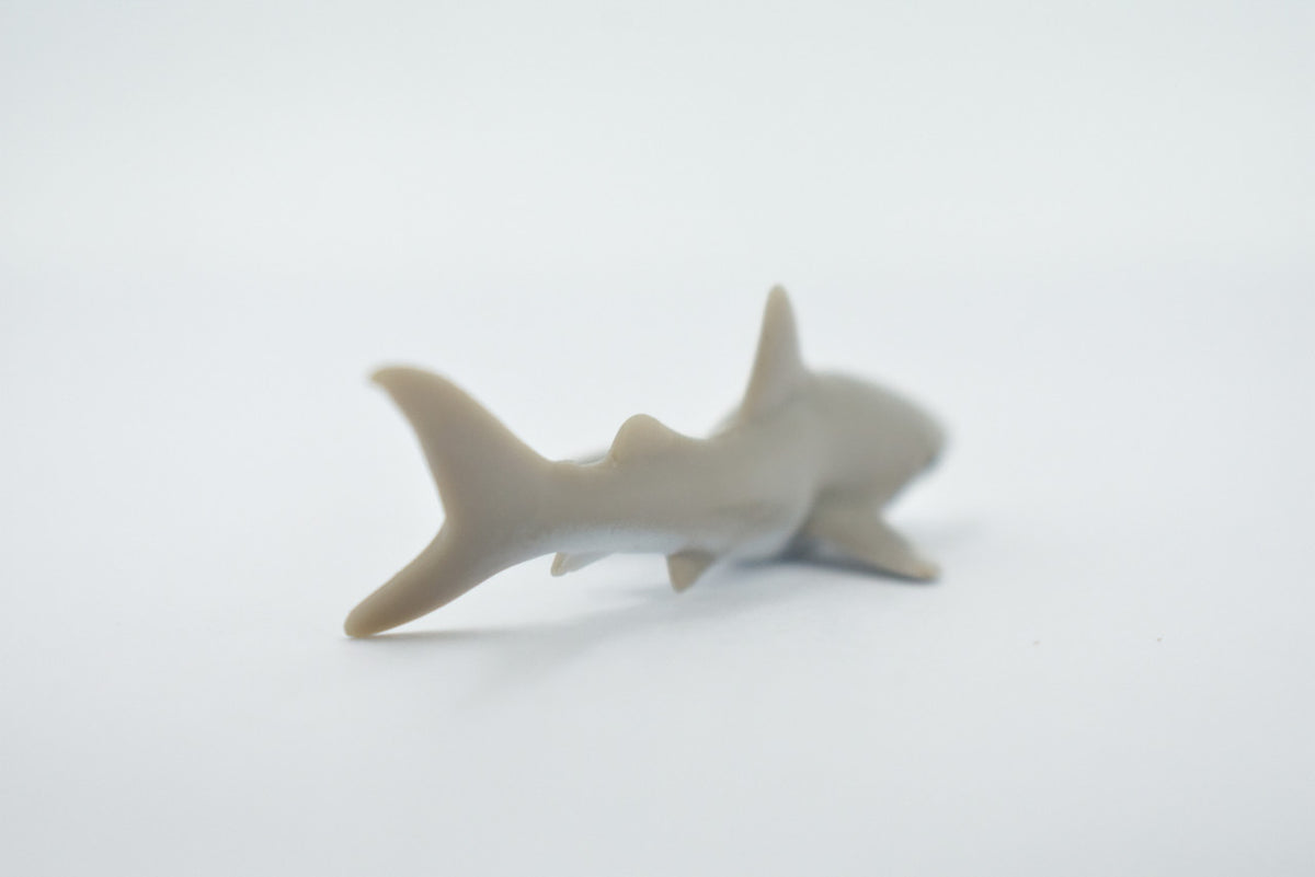 Galapagos Islands Shark, Gray, Educational, Hand Painted, Realistic Plastic Shark, Lifelike, Diorama, Model, Toy, Kids, Gift,  3 1/2 Inches.  F1531 B150