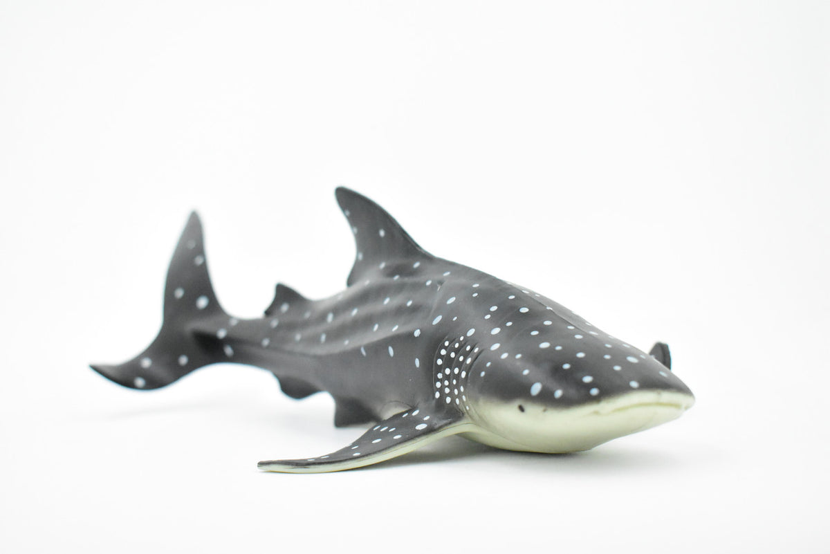 Whale Shark, Gentle Giant, Museum Quality, Educational, Hand Painted, Rubber Fish, Realistic Toy Figure, Diorama Model, Replica, Kids, Gift,    12 Inches. 