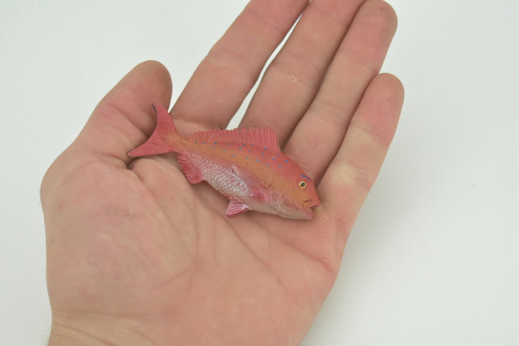 Red Snapper, Fish, Onaga, Rockfish, High Quality, Hand Painted, Hard Rubber, Realistic, Figure, Model, Toy, Kids, Educational, Gift,     3"     CH303 BB181