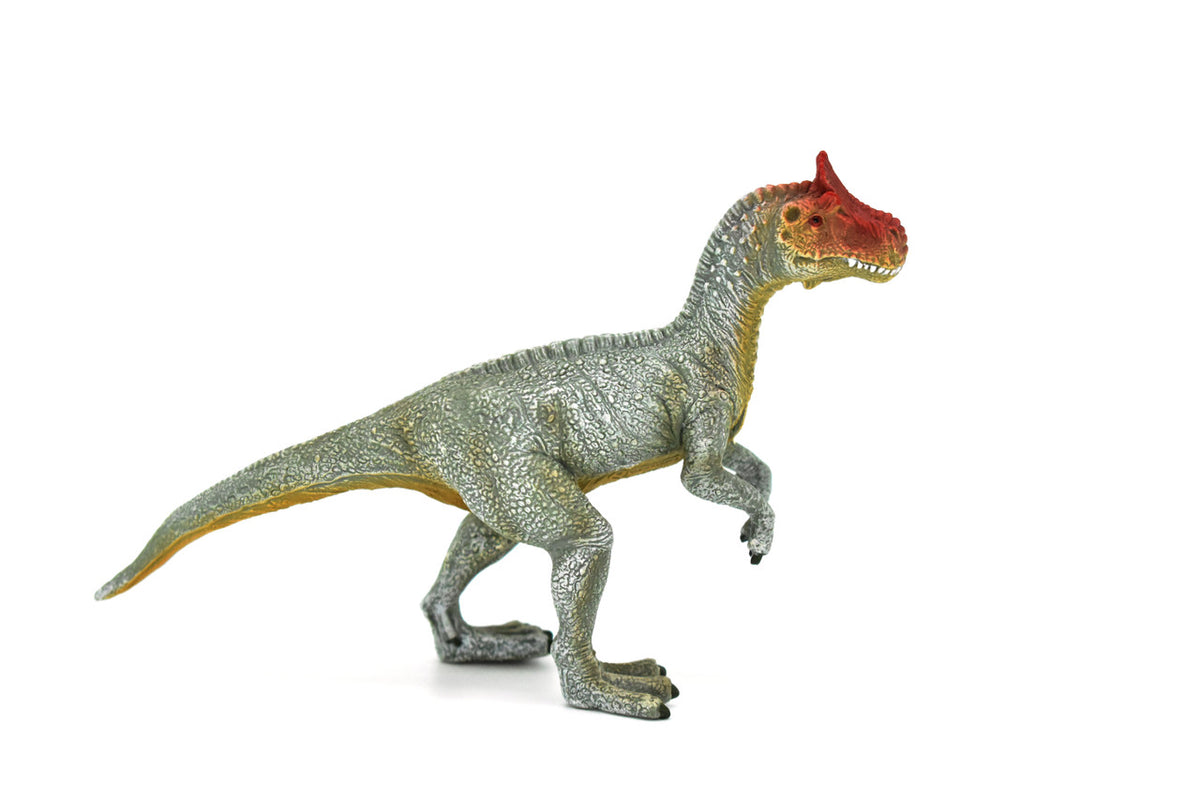 Cryolophosaurus Dinosaur Theropod dinosaur, Museum Quality, Educational, Realistic Hand Painted, Diorama Figure, Lifelike Model, Vintage Design, Toy,  6 Inches.