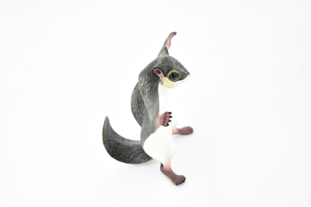  Flying Squirrel, Sciuridae, Museum Quality, Hand Painted, Rubber Mammal, Realistic Toy Figure, Model, Replica, Kids, Educational,  6 1/2 Inches.