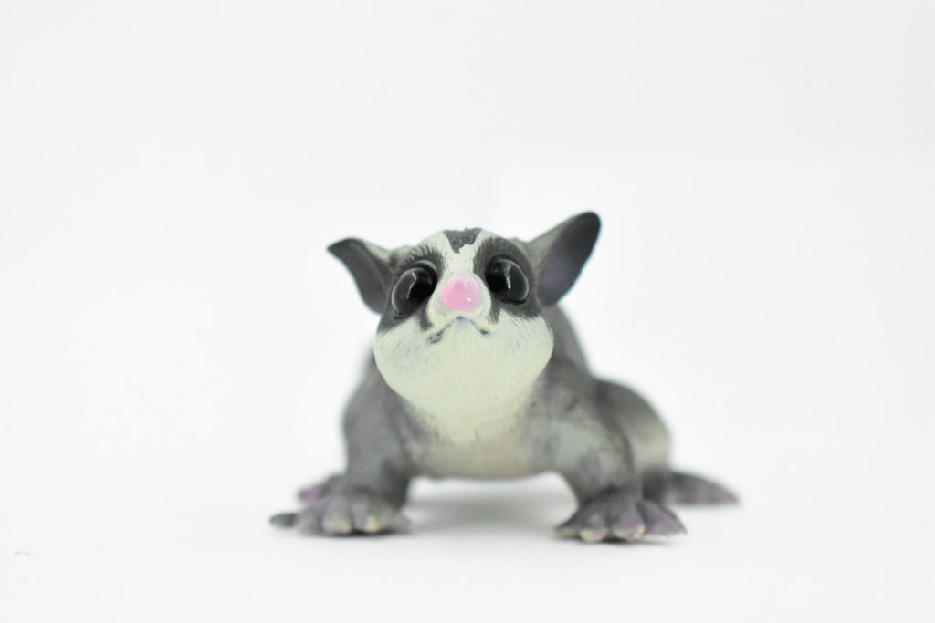 Sugar Glider, Flying Squirrel, Gliding Possum, Museum Quality, Hand Painted, Rubber, Realistic, Diorama Model, Replica, Kids, Educational,  7 Inches.
