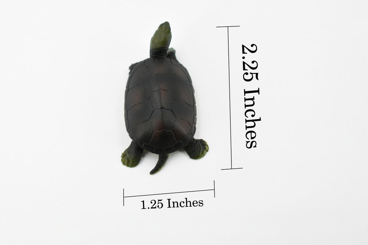 Turtle, Yellow Pond Turtle, Rubber Reptile, Hand Painted, Museum Quality, Educational, Realistic Toy Figure, Diorama Model, Kids,  2 1/2 Inches. 