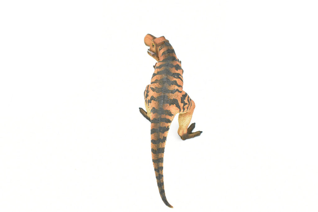 Tyrannosaurus rex, T. Rex, Dinosaur, Museum Quality Plastic Replica  12" x 5"   M005-B629