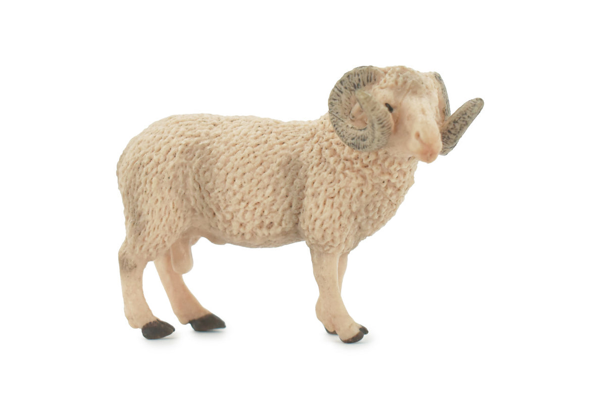 Sheep, Ram, Domestic sheep, Museum Quality, Rubber, Educational, Realistic, Hand Painted, Figure, Lifelike, Toy, Kids, Replica, Gift,    4"